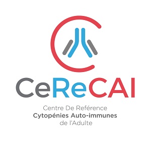 Logo_CERECAI_grand - 300