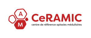Logo_CeRAMIC_2025-transparent-horizontal-WEB 2 (1)